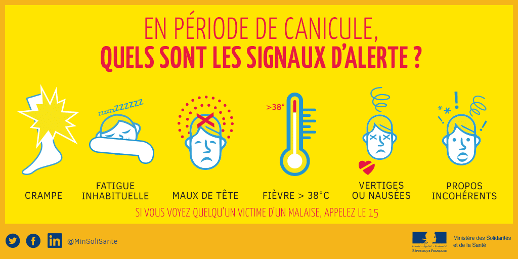 CANICULE-Tw-11