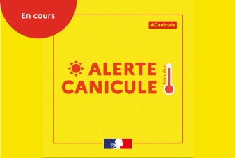 PLAN CANICULE