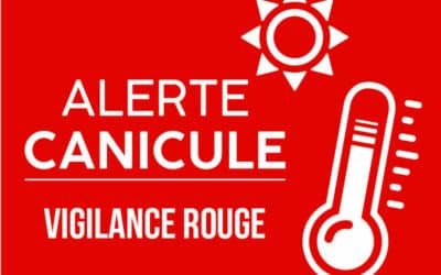 CANICULE
