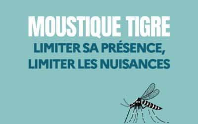 Moustique tigre : agissons pour limiter sa prolifération !