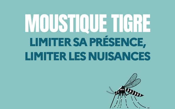 Moustique tigre : agissons pour limiter sa prolifération !