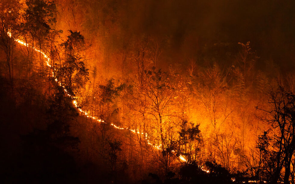 Restriction d&rsquo;utilisation des moteurs thermiques