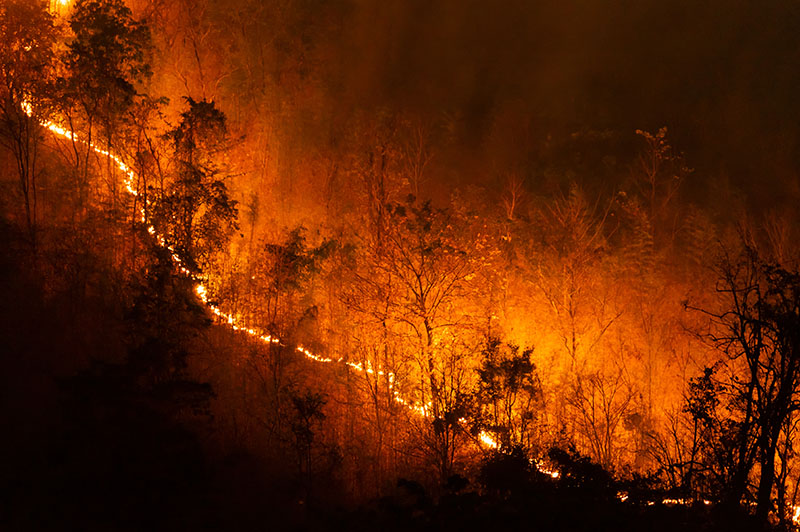 Restriction d’utilisation des moteurs thermiques